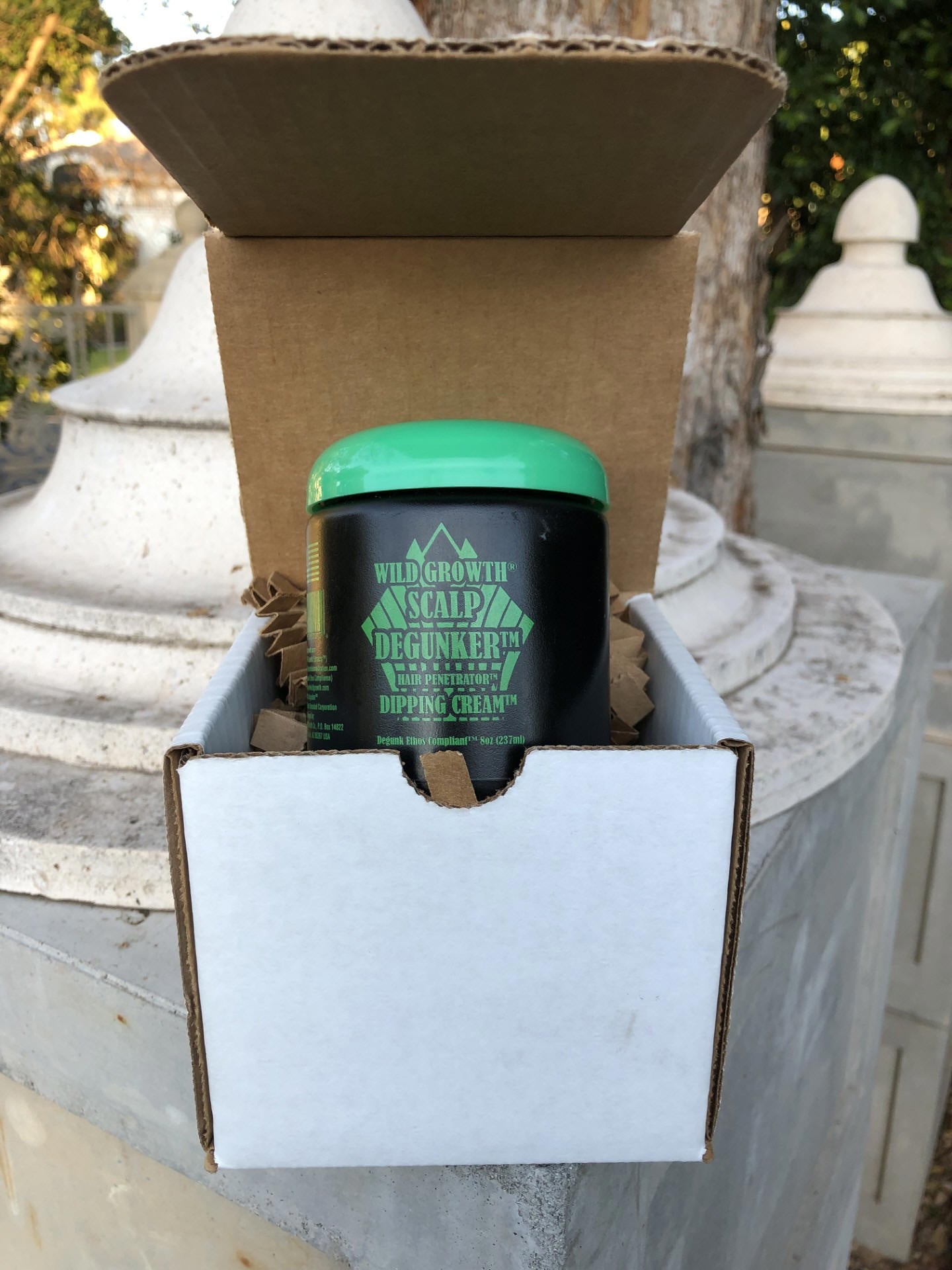 Wild Growth Scalp Degunker Root Penetrator Dipping Cream